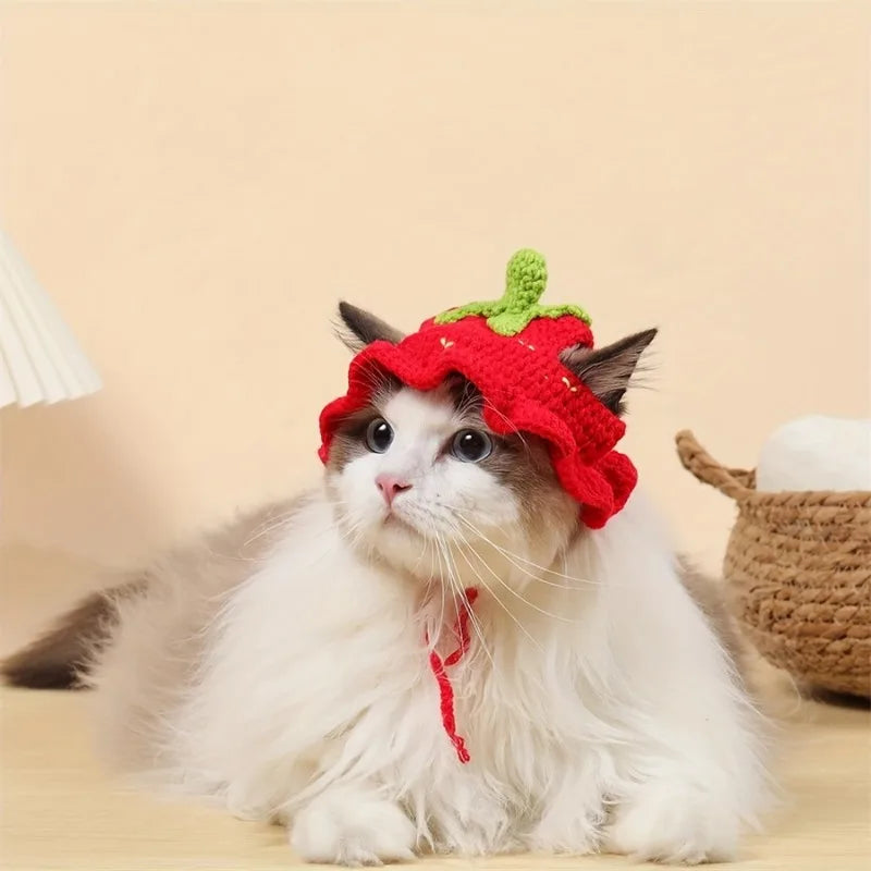 Handmade Cotton Crochet Hat for Cats & Small Dogs