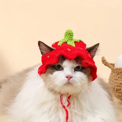 Handmade Cotton Crochet Hat for Cats & Small Dogs